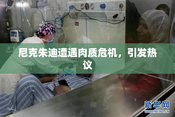 尼克朱迪遭遇肉质危机，引发热议