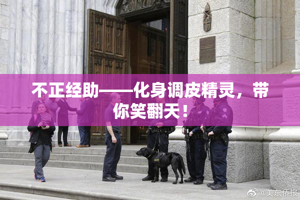 不正经助——化身调皮精灵，带你笑翻天！