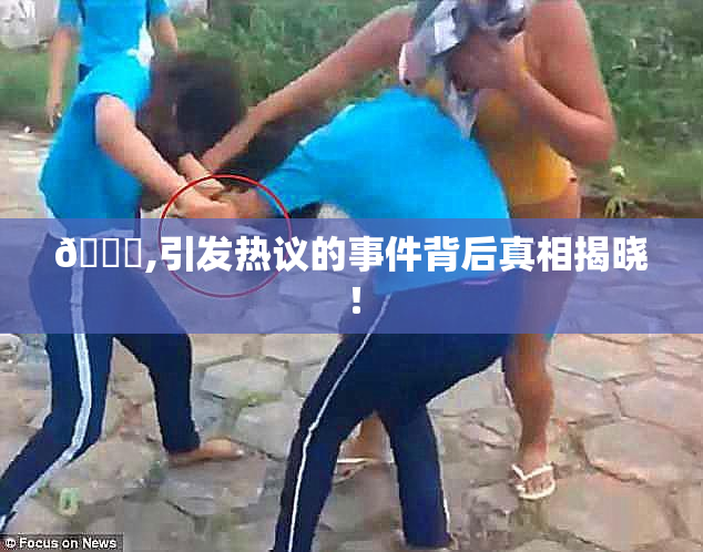 🈚,引发热议的事件背后真相揭晓！