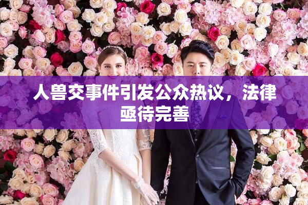 人兽交事件引发公众热议，法律亟待完善
