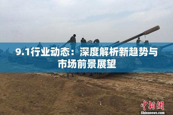 9.1行业动态：深度解析新趋势与市场前景展望