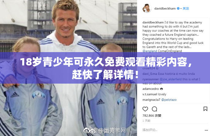 18岁青少年可永久免费观看精彩内容，赶快了解详情！