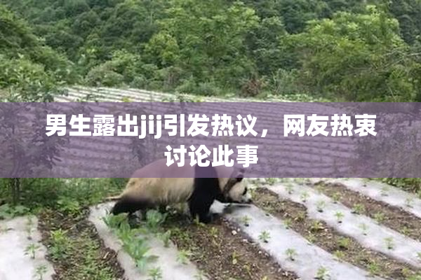 男生露出jij引发热议，网友热衷讨论此事