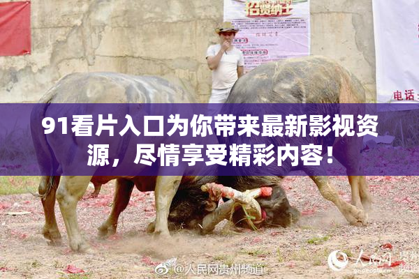 91看片入口为你带来最新影视资源，尽情享受精彩内容！