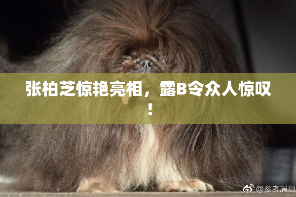 张柏芝惊艳亮相，露B令众人惊叹！