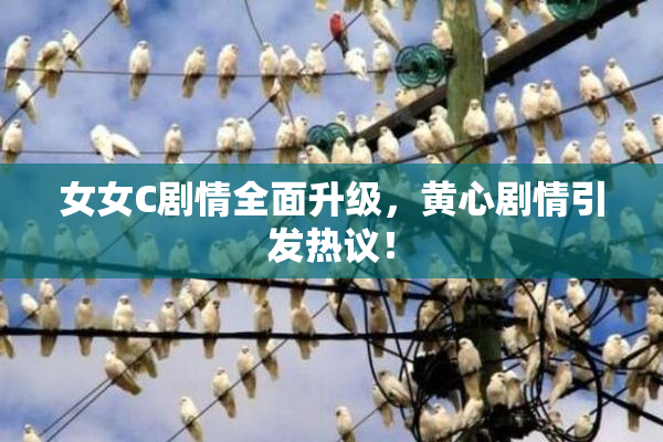 女女C剧情全面升级，黄心剧情引发热议！