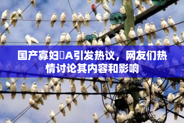国产寡妇婬A引发热议，网友们热情讨论其内容和影响