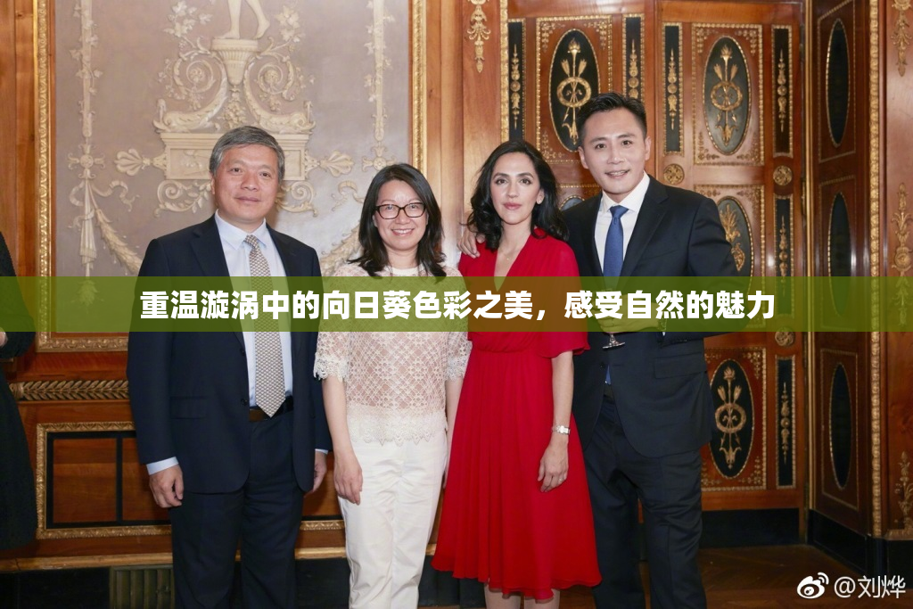 重温漩涡中的向日葵色彩之美，感受自然的魅力