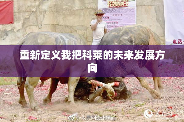 重新定义我把科莱的未来发展方向