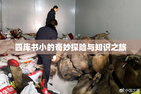 四库书小的奇妙探险与知识之旅