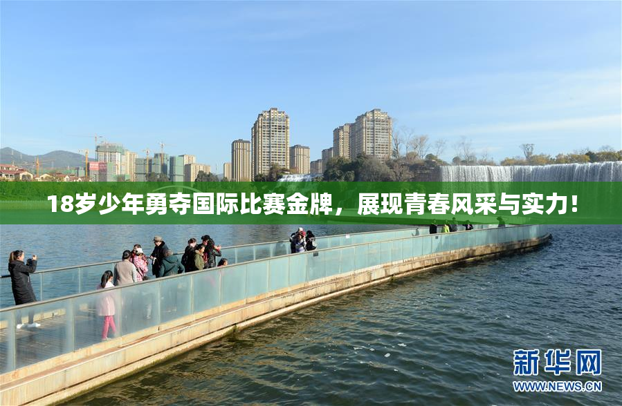 18岁少年勇夺国际比赛金牌，展现青春风采与实力！