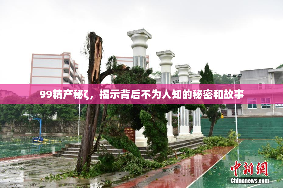 99精产秘ζ，揭示背后不为人知的秘密和故事