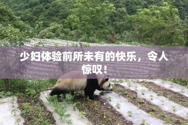 少妇体验前所未有的快乐，令人惊叹！
