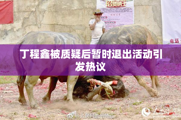 丁程鑫被质疑后暂时退出活动引发热议