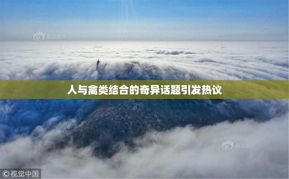 人与禽类结合的奇异话题引发热议