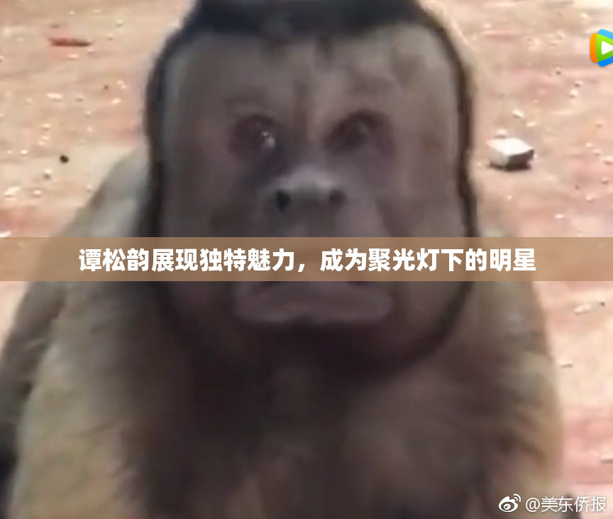 谭松韵展现独特魅力，成为聚光灯下的明星