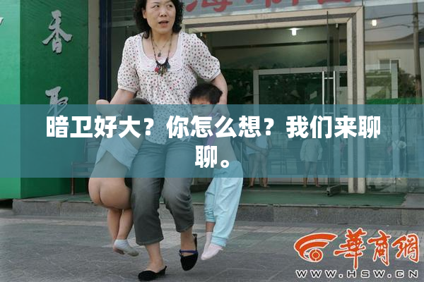 暗卫好大？你怎么想？我们来聊聊。
