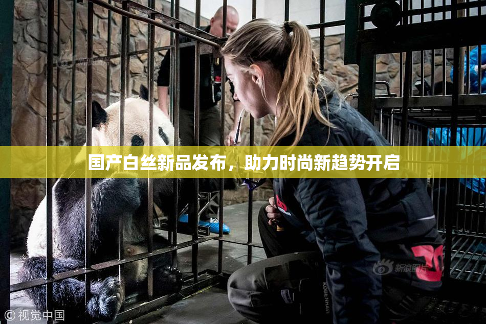 国产白丝新品发布，助力时尚新趋势开启