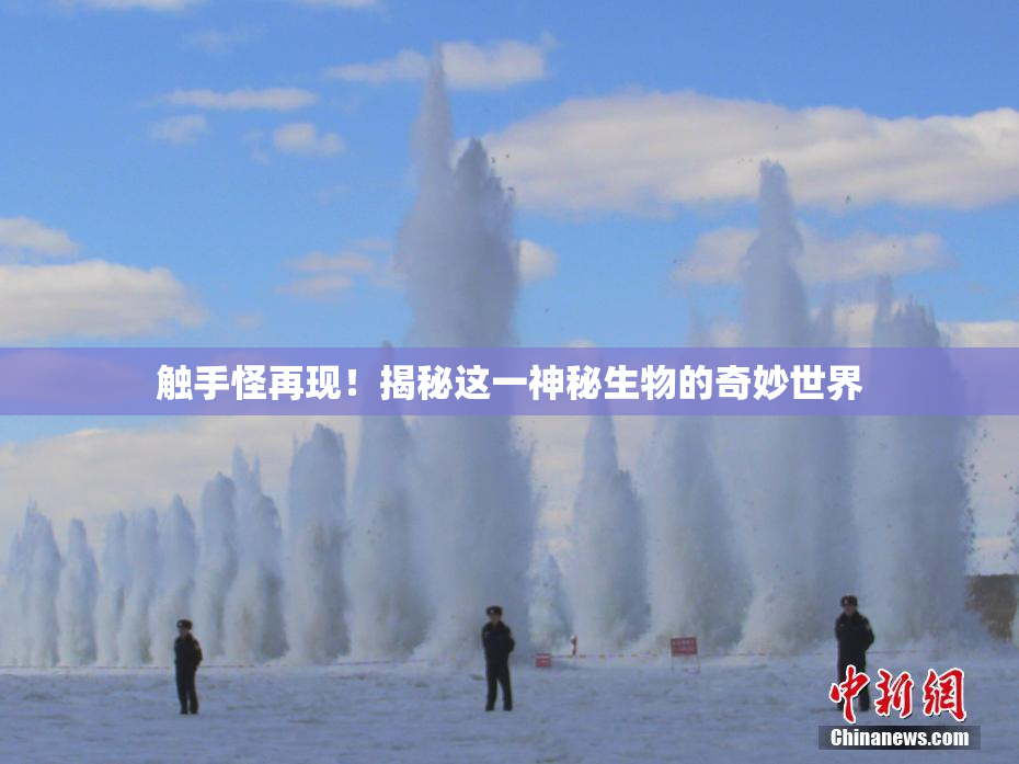 触手怪再现！揭秘这一神秘生物的奇妙世界