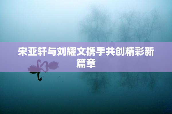 宋亚轩与刘耀文携手共创精彩新篇章