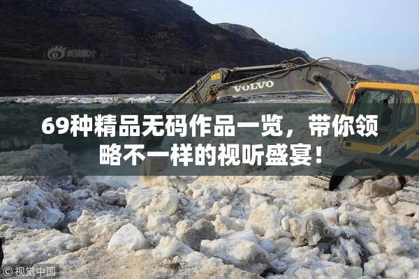 69种精品无码作品一览，带你领略不一样的视听盛宴！