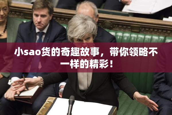 小sao货的奇趣故事，带你领略不一样的精彩！