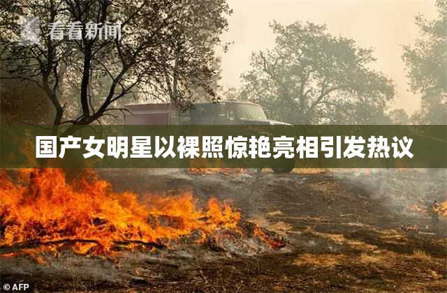 国产女明星以裸照惊艳亮相引发热议