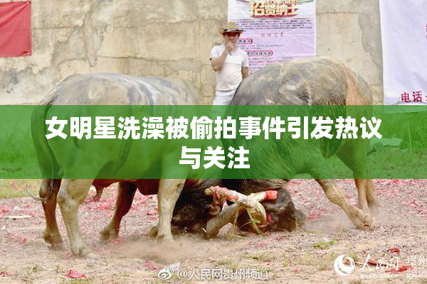 女明星洗澡被偷拍事件引发热议与关注
