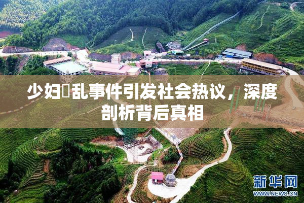 少妇婬乱事件引发社会热议，深度剖析背后真相