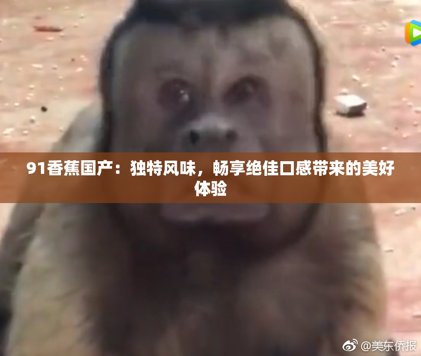 91香蕉国产：独特风味，畅享绝佳口感带来的美好体验