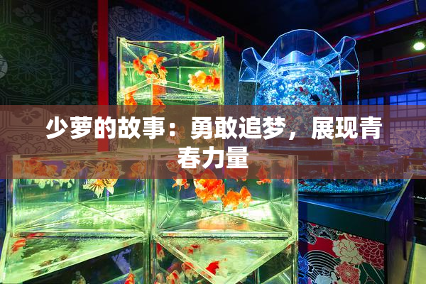 少萝的故事：勇敢追梦，展现青春力量