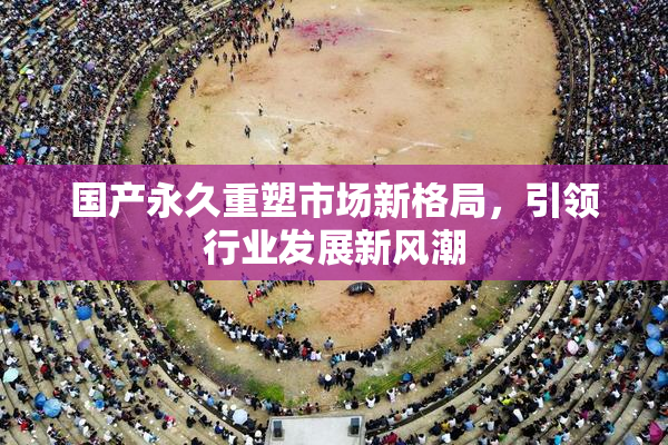 国产永久重塑市场新格局，引领行业发展新风潮