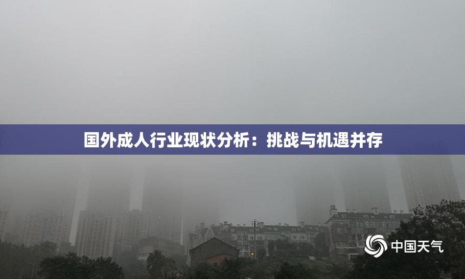 国外成人行业现状分析：挑战与机遇并存