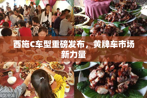 西施C车型重磅发布，黄牌车市场新力量