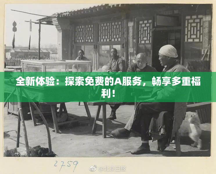 全新体验：探索免费的A服务，畅享多重福利！