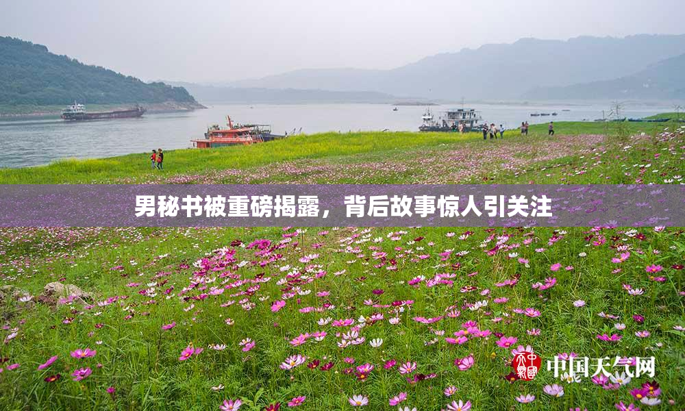 男秘书被重磅揭露，背后故事惊人引关注