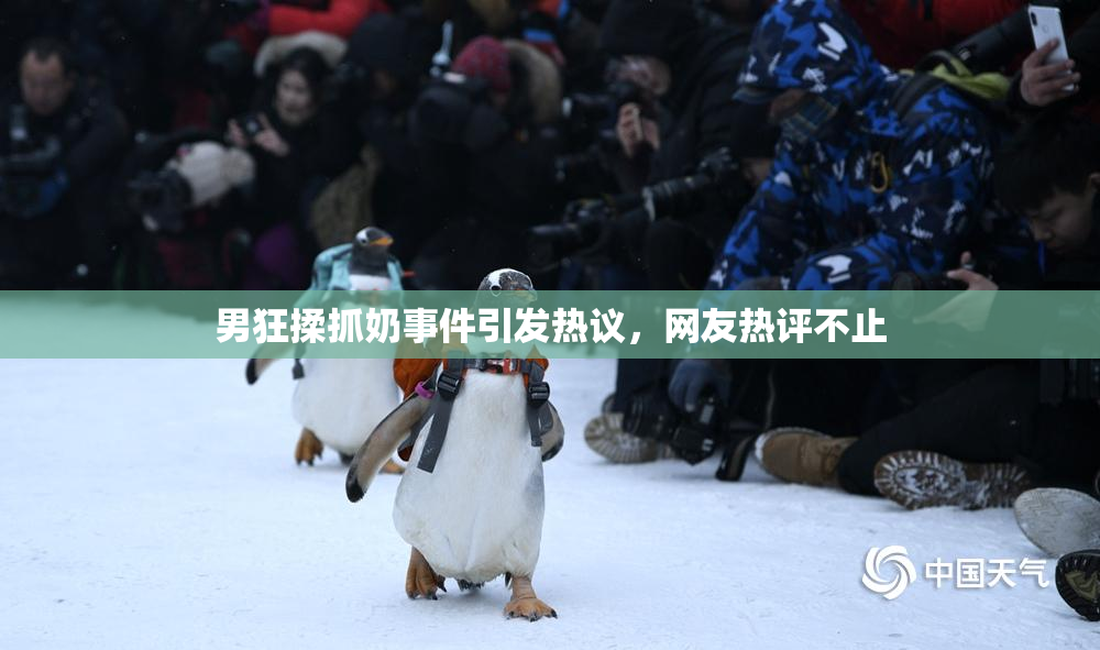 男狂揉抓奶事件引发热议，网友热评不止