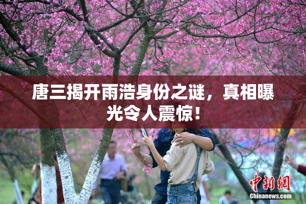 唐三揭开雨浩身份之谜，真相曝光令人震惊！