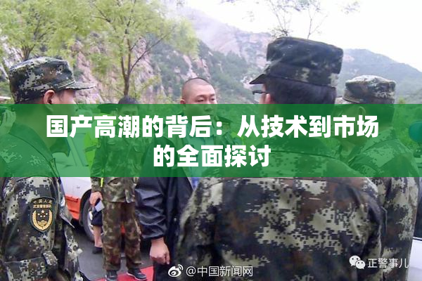 国产高潮的背后：从技术到市场的全面探讨