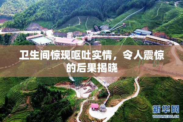 卫生间惊现呕吐实情，令人震惊的后果揭晓
