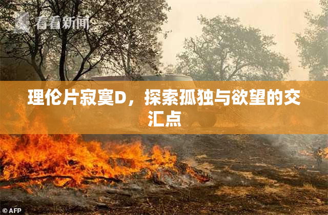 理伦片寂寞D，探索孤独与欲望的交汇点