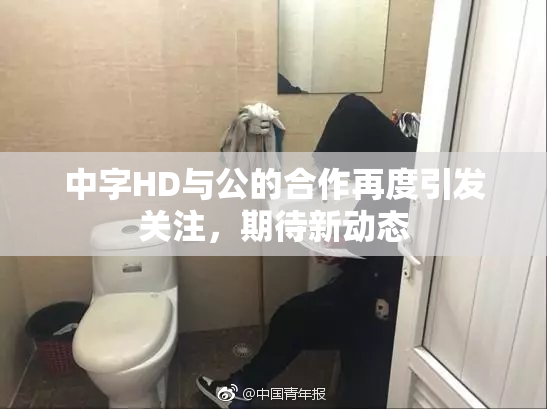 中字HD与公的合作再度引发关注，期待新动态