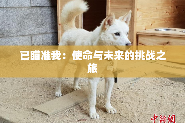 已瞄准我：使命与未来的挑战之旅