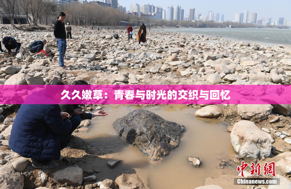 久久嫩草：青春与时光的交织与回忆