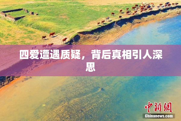 四爱遭遇质疑，背后真相引人深思