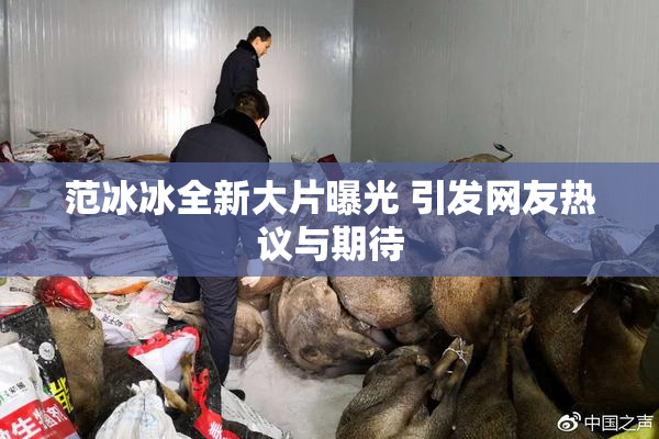 范冰冰全新大片曝光 引发网友热议与期待