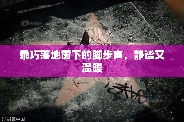 乖巧落地窗下的脚步声，静谧又温暖