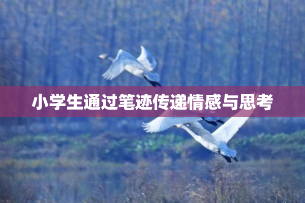 小学生通过笔迹传递情感与思考