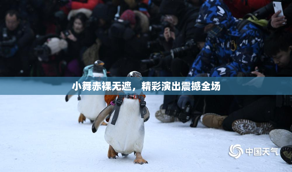 小舞赤裸无遮，精彩演出震撼全场