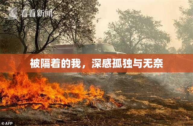 被隔着的我，深感孤独与无奈